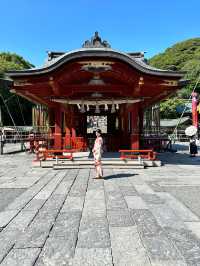 〜神奈川県〜紫陽花手水が綺麗すぎ✨神奈川最強のパワスポ！
