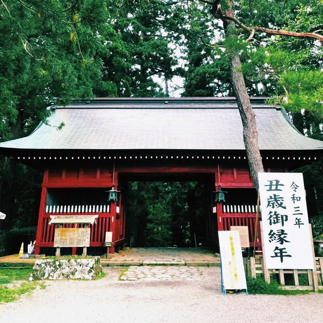 【出羽三山】羽黒山を巡りよみがえりを祈るリトリートの旅へ⛰