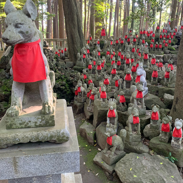 愛知の魅力。名古屋だけじゃない。狐に出会う。