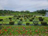 The visit to UN Memorial Cemetery in Busan