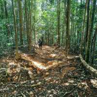 Adventurous jungle trekking at Gunung Lambak, Kluang