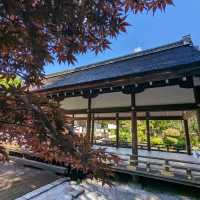 日本京都-北方能量之地，玄武震風雷：上賀茂神社