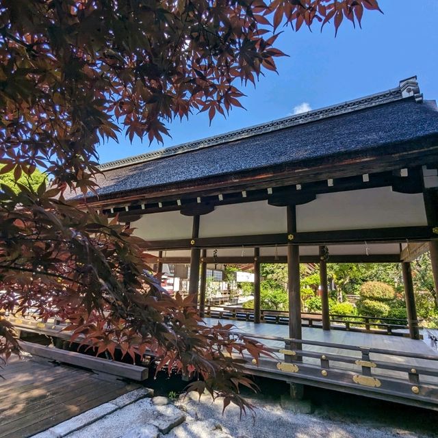 日本京都-北方能量之地，玄武震風雷：上賀茂神社