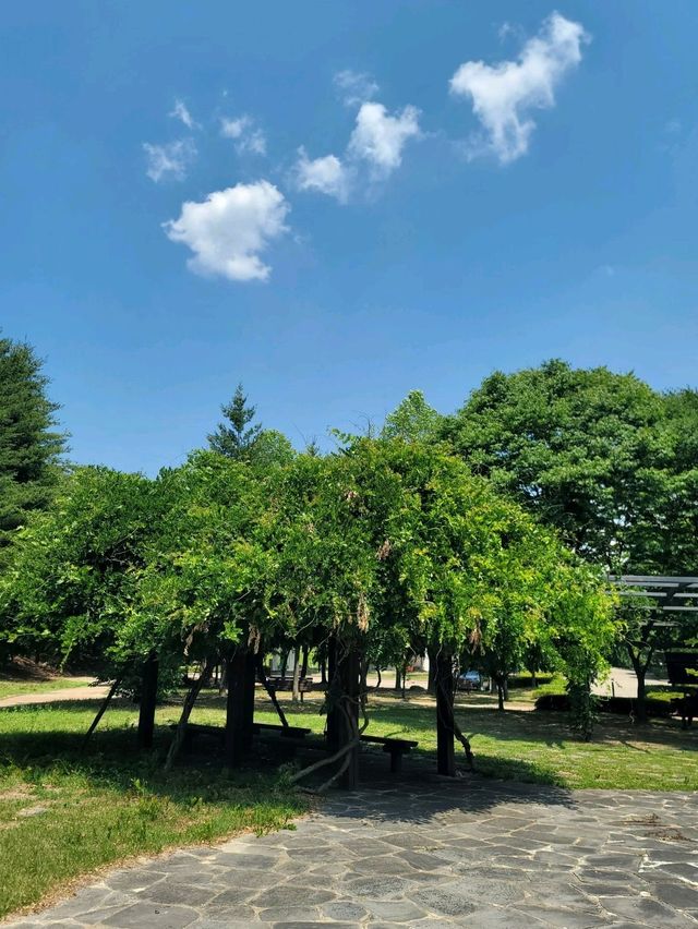 밀양댐드라이브 즐기면서 가볼만한곳💚