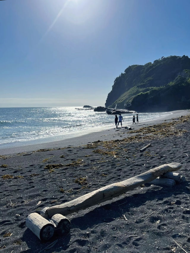 【超穴場スポット】夏はすぐそこ!!絶景海岸でビーチコーミング𓇼𓈒𓐍𓈒𓂂𓏸