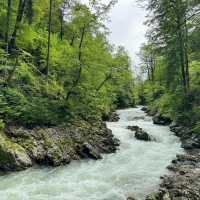 Vintgar gorge