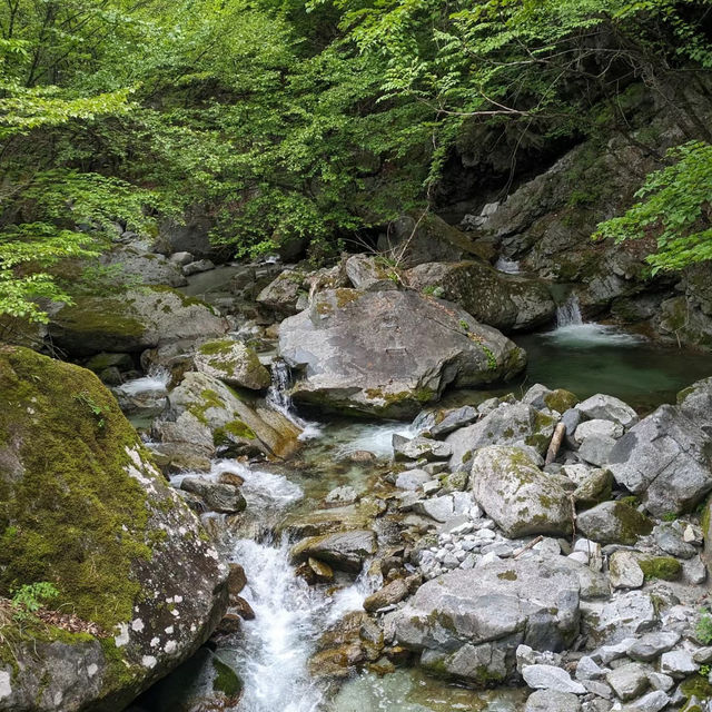 唐滝～絕佳景色