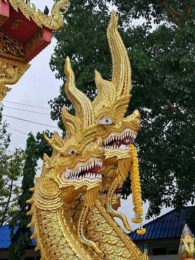 วัดดังสายมู ขอพรหลวงพ่อทันใจ📍วัดพระธาตุดอยคำ