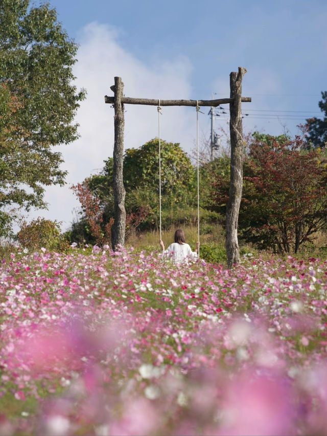 絶景に出逢える！本当は教えたくない天空の花園🌸