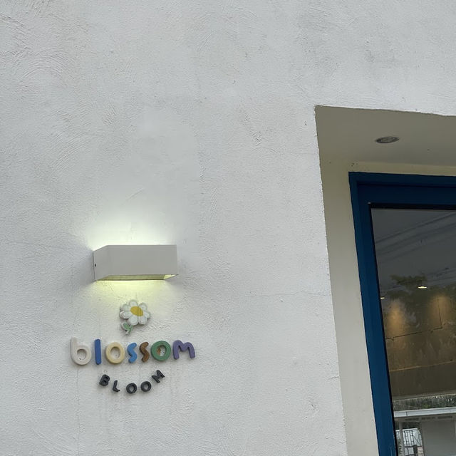 Blossom Bloom 