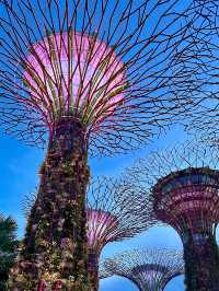 My vacation in Singapore 🇸🇬 