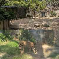壽山動物園：親子遊玩首選，整修後更舒適