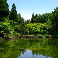 【九州自駕遊】Iichiko日田蒸餾廠：免費參觀製酒過程，適合酒愛好者