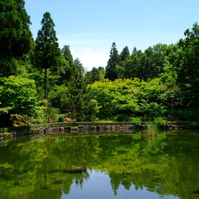 【九州自駕遊】Iichiko日田蒸餾廠：免費參觀製酒過程，適合酒愛好者