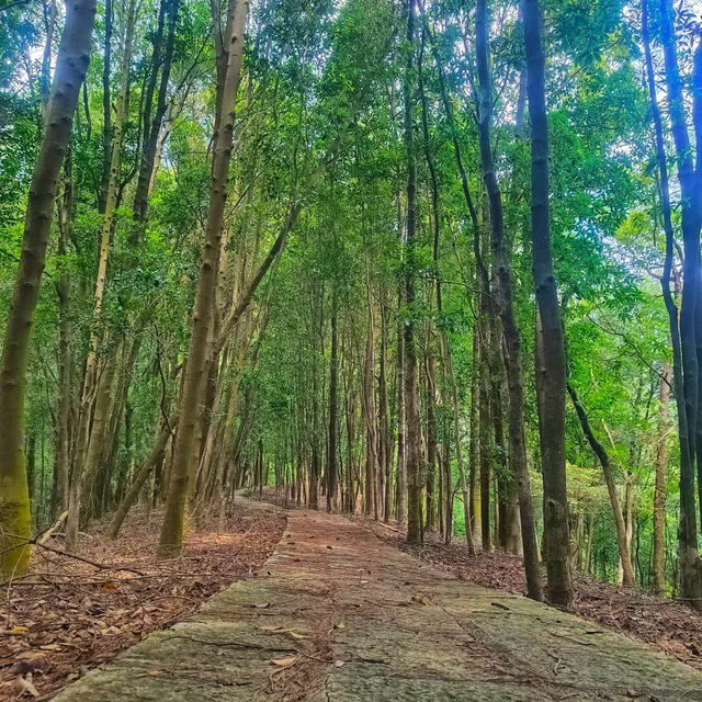 月之輪滝：水雲夢幻，震撼自然鬼斧神工的偉力