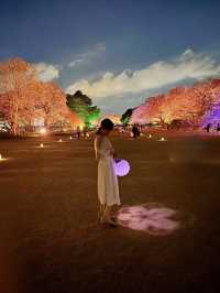 〜東京都〜桜ライトアップ✨桜の新宿御苑