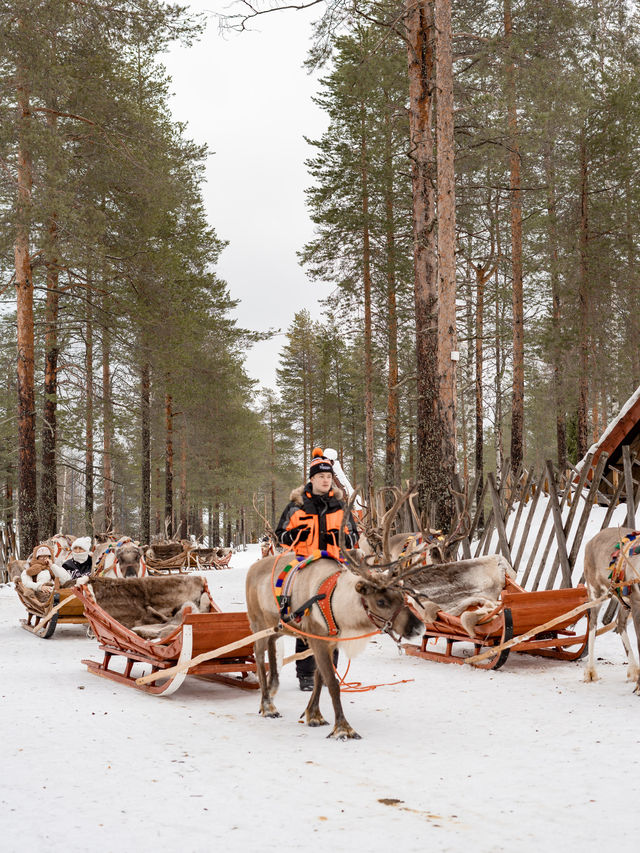 📍Santa Claus Reindeer