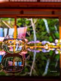 京都の舞妓、芸妓憧れの地『嵐山祐斎亭』日本の美と自然唯一無二の世界観アートを感じられます💫