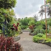🇲🇾Secret Garden 1 Utama: A Green Paradise Above the City