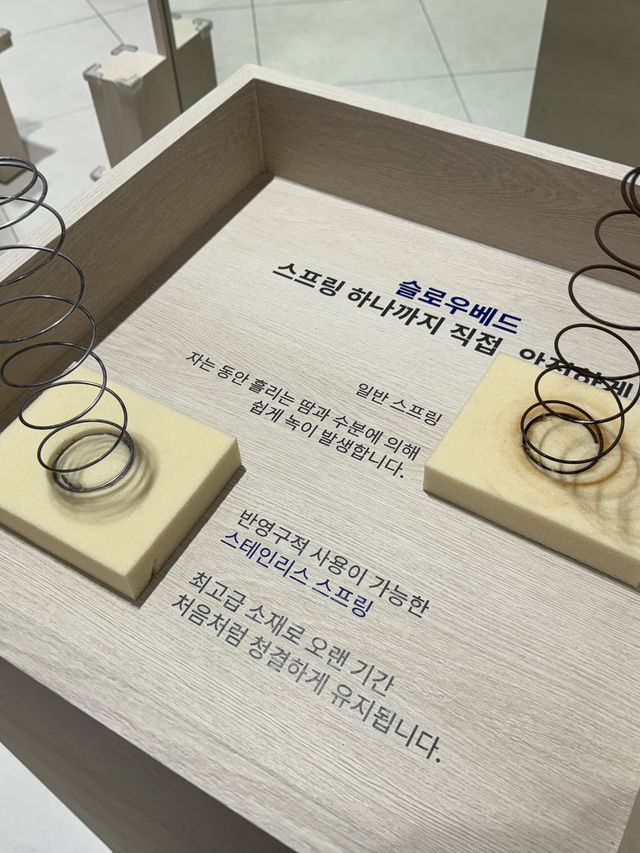 더현대서울 ‘스태리나잇’ 팝업스토어, 서울 팝업 가볼 만한 곳