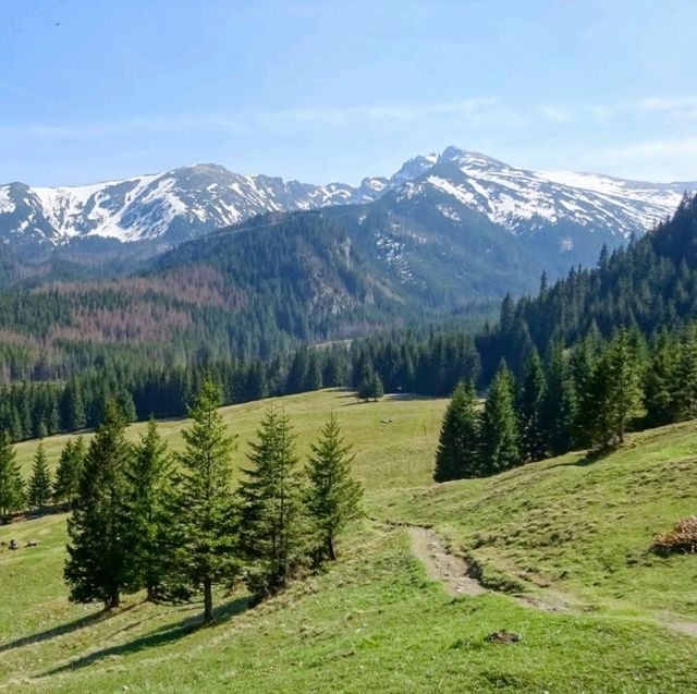 The splendour of mountains