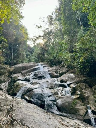 Bukit Larut