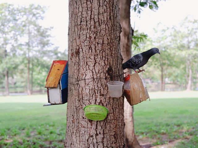 ปั่นจักรยานที่สวนรถไฟ 🚴🏻🌳