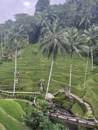 【烏布克里塔Cretya Ubud ，高級的俱樂部，對着梯田的景色！】