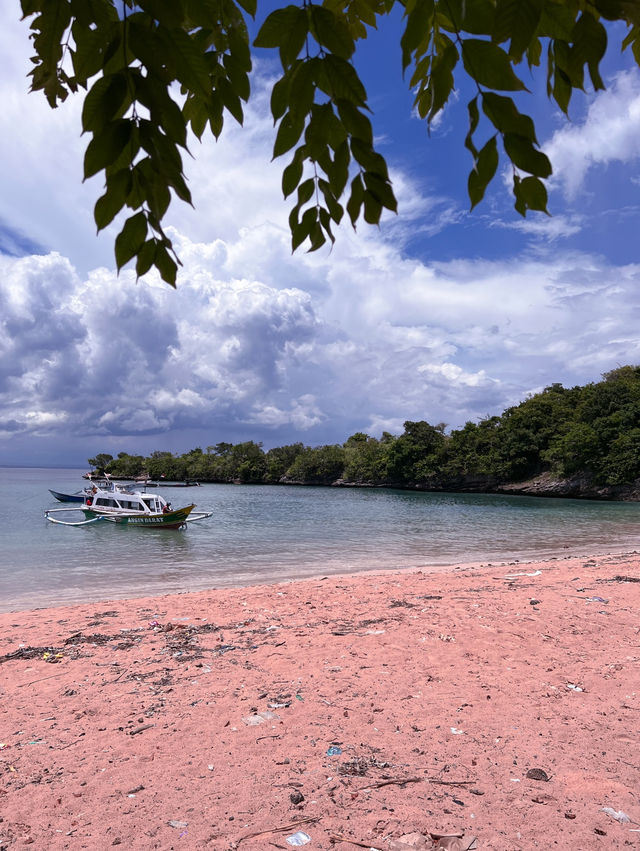 Secret Pink Beach in Lombok, Indonesia 🇮🇩