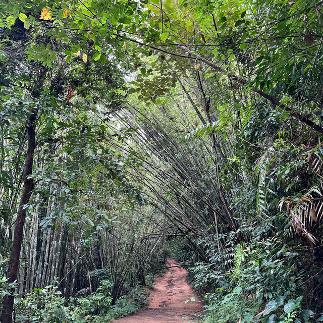 Khao Sok National Park