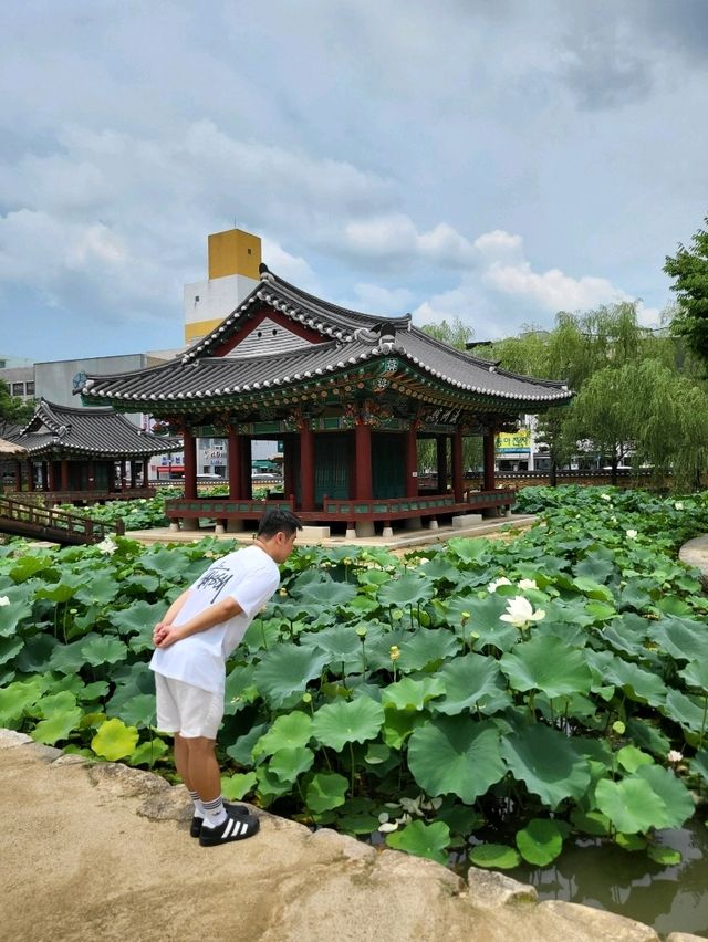 조용하게 거닐기좋은 국가유산 원주감영