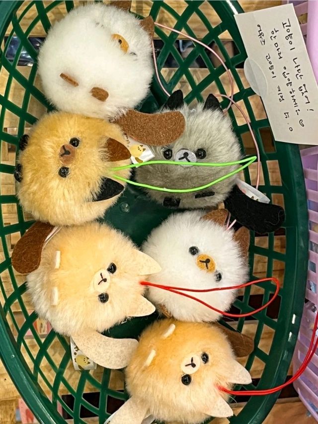 귀여움이 세상을 구한다🤍✨️
