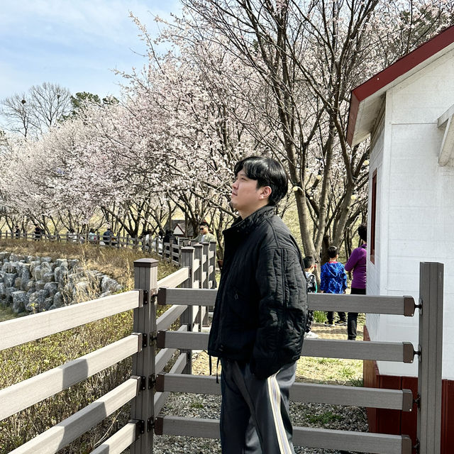 예쁜 꽃과 호수가 인상깊었던 이천 설봉공원🏞️