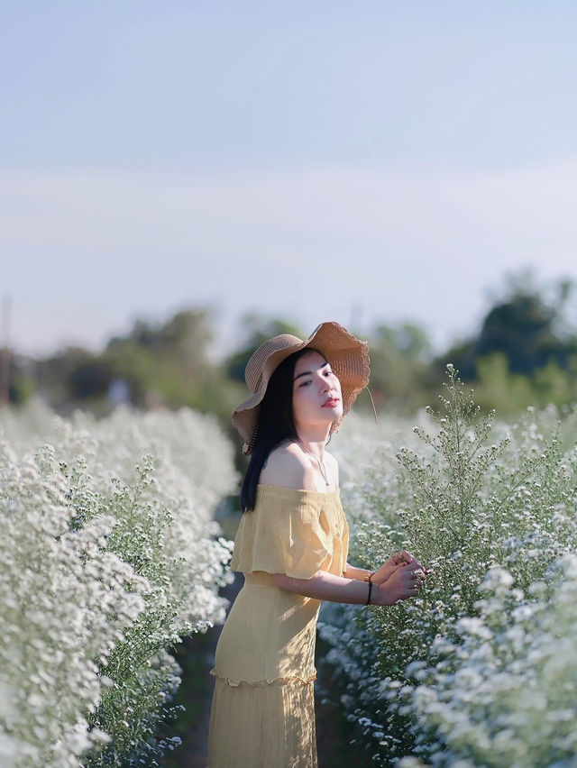 I Love Flower Farm สวนดอกไม้เชียงใหม่