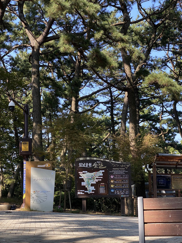 여름엔 역시 부산! 송도해상케이블카 국내여행 추천👍