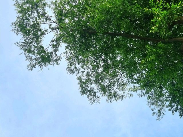 남양주 피크닉 감성카페: 브리끄☕️🌿