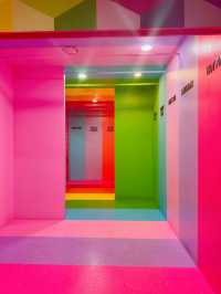 🌈 사진찍기좋은 서울전시회