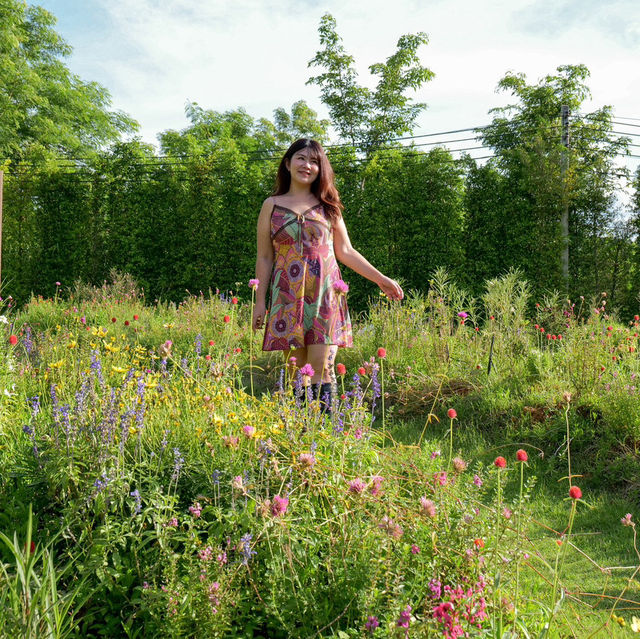 ⛺️✨นอนเต็นท์ติดแกลมที่เขาใหญ่ 🌳Marasca Khaoyai