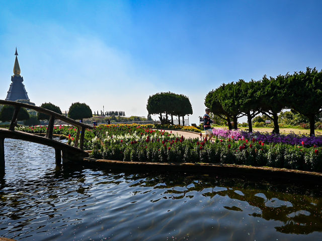 Floral Splendor at Doi Inthanon Pagoda