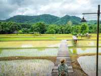 ไร่แสงอรุณ