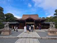 【城南宮:京都市伏見区】2月に咲く美しい梅に感動する✨