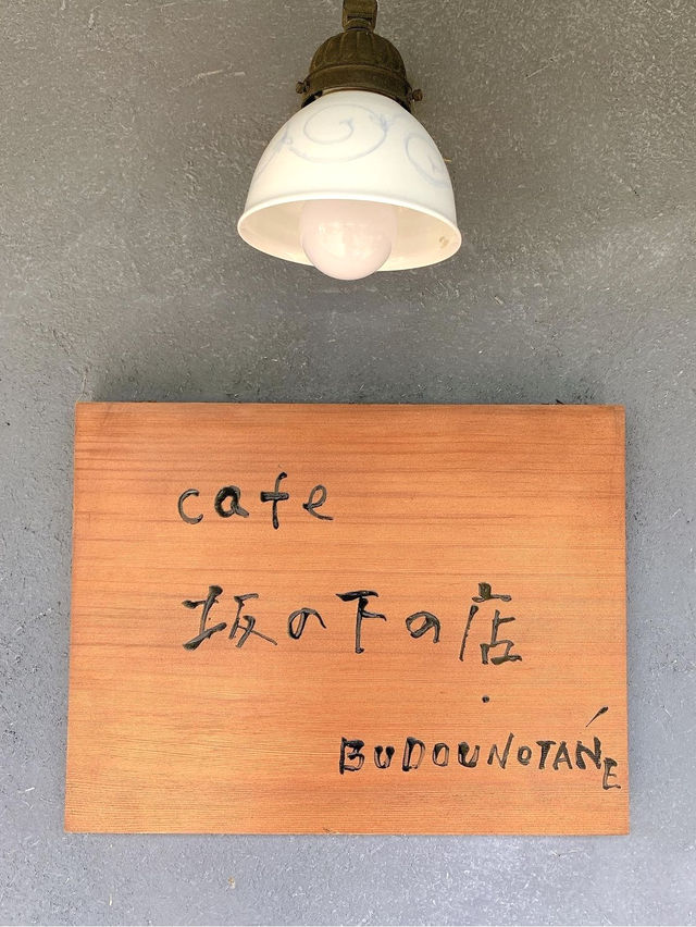 【福岡カフェ】どれから食べるか悩んでしまう！お野菜たっぷりのランチ🍽