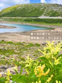 📍長野・岐阜　お手軽3000m!? ハイキング&登山スポット