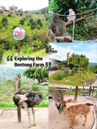 Exploring Bentong Farm: A Nature Lover’s Paradise