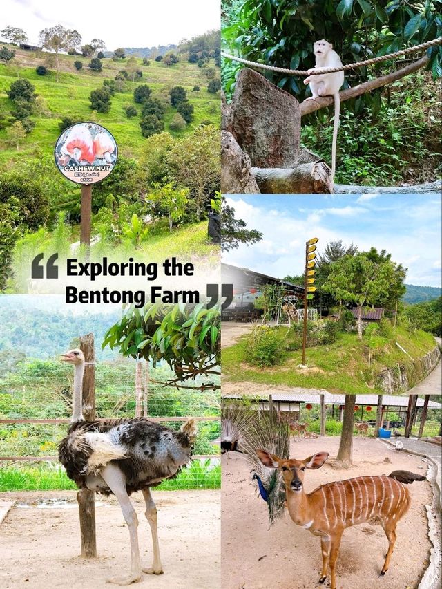 Exploring Bentong Farm: A Nature Lover’s Paradise