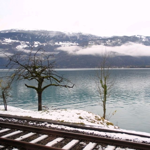 🇨🇭少女峰前哨站📍Grindewal🇨🇭🇨🇭