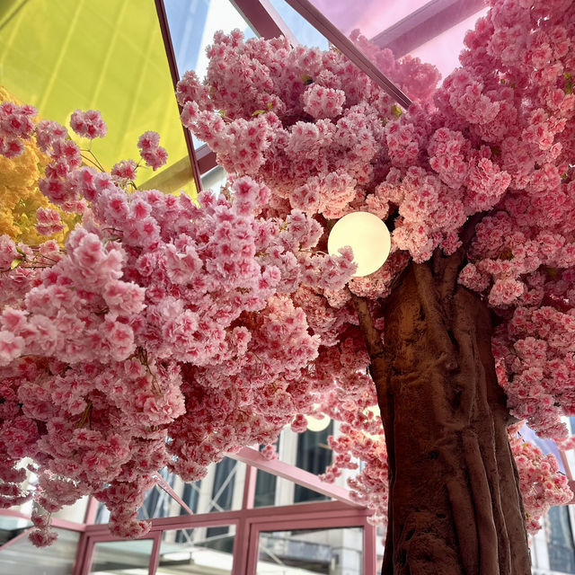 A Pink Paradise at EL&N Cafe