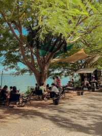 รถเบอร์เกอร์ ริมอ่างเก็บน้ำบางพระ🌳🍃🍔