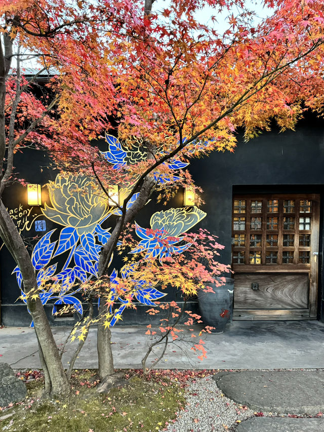 紅葉が素敵なお店🍁自分で焼くお団子は焼き立てホクホク！