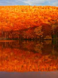 【青森】予約が必要な真っ赤に染まる絶景🌅訪問攻略情報付き📝